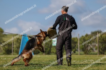 IMG_8304.jpg