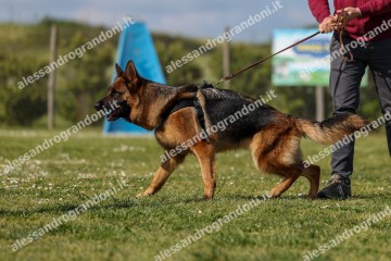 IMG_8331.jpg