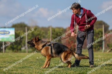 IMG_8364.jpg