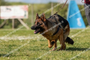 IMG_8397.jpg