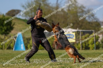 IMG_8604.jpg