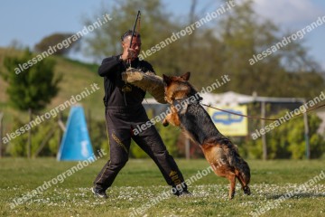 IMG_8605.jpg