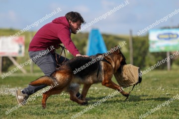 IMG_8637.jpg