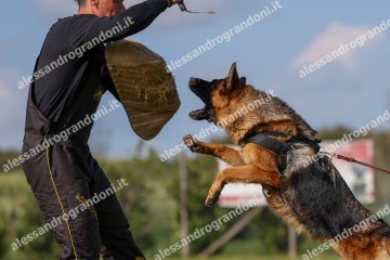 IMG_8665.jpg