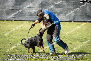 IMG_2923.jpg
