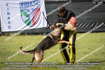 IMG_3086.jpg