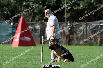 IMG_8273.jpg