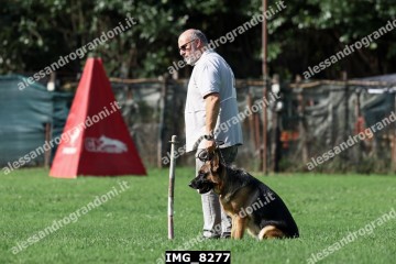 IMG_8277.jpg