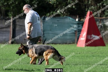 IMG_8281.jpg