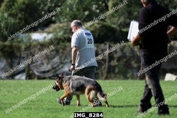 IMG_8284.jpg