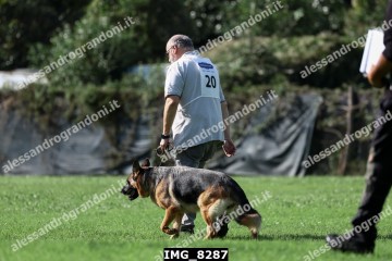 IMG_8287.jpg