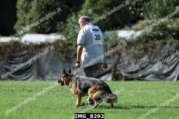 IMG_8292.jpg