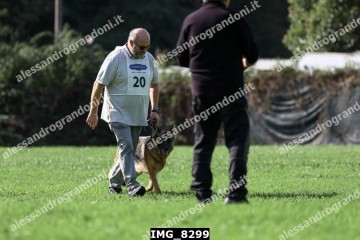 IMG_8299.jpg