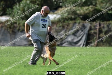 IMG_8308.jpg