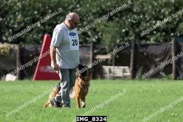 IMG_8324.jpg