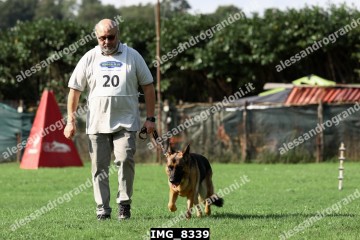 IMG_8339.jpg