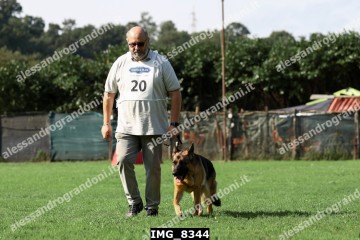 IMG_8344.jpg