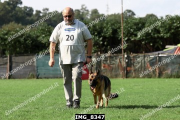 IMG_8347.jpg