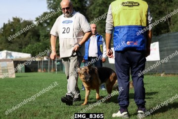 IMG_8365.jpg