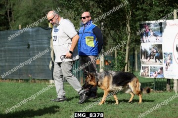 IMG_8378.jpg