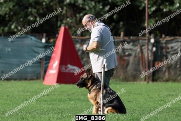 IMG_8386.jpg