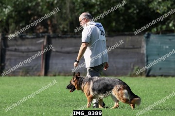 IMG_8389.jpg