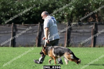 IMG_8396.jpg