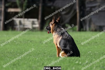 IMG_8456.jpg