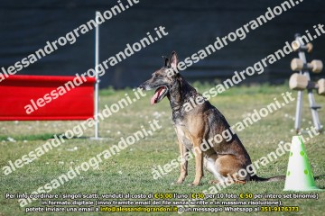 _21A0640.jpg