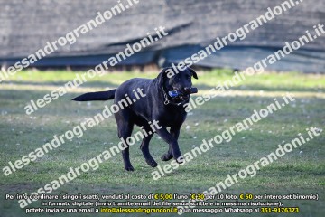 _21A0690.jpg