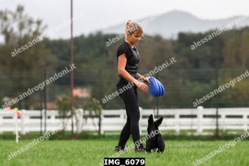 IMG_6079.jpg