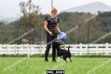 IMG_6083.jpg