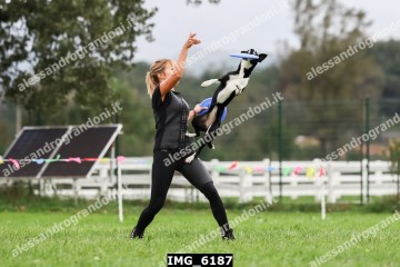 IMG_6187.jpg