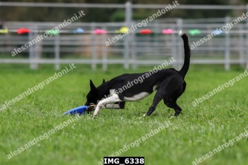 IMG_6338.jpg