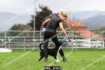 IMG_6352.jpg