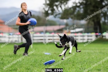 IMG_6360.jpg