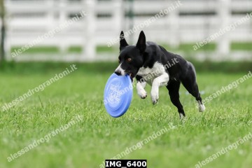 IMG_6400.jpg
