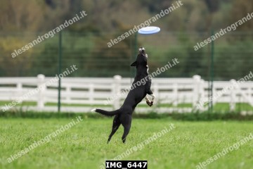 IMG_6447.jpg