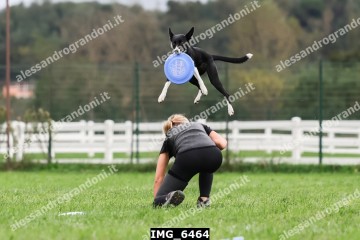 IMG_6464.jpg