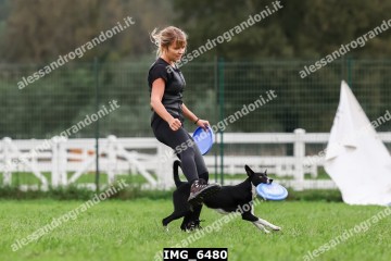 IMG_6480.jpg