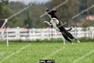 IMG_6677.jpg