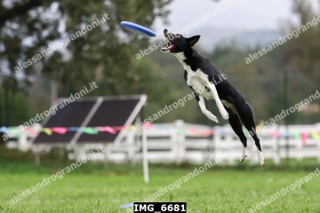 IMG_6681.jpg