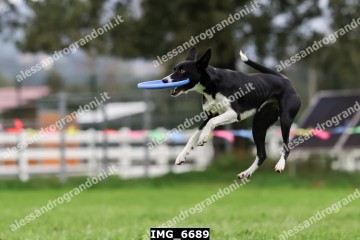 IMG_6689.jpg