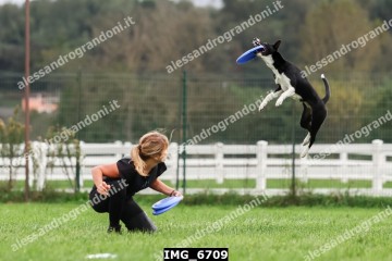 IMG_6709.jpg