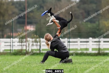 IMG_6853.jpg