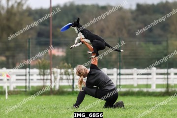 IMG_6856.jpg