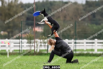 IMG_6859.jpg