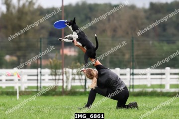 IMG_6861.jpg