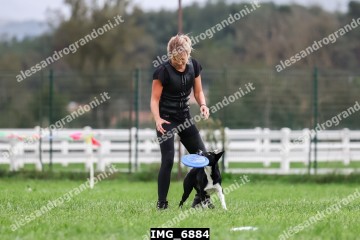 IMG_6884.jpg