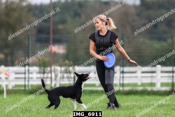 IMG_6911.jpg